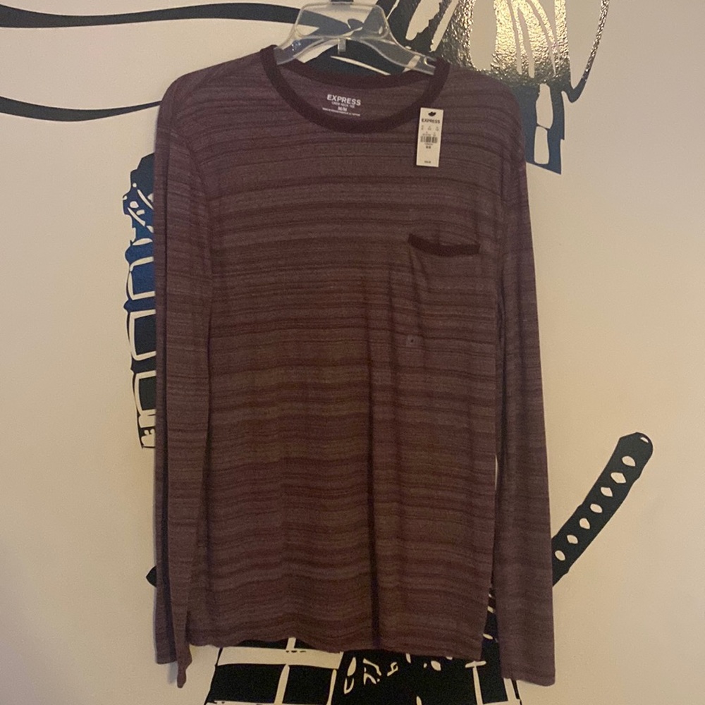 Two Express Long Sleeve Dress Shirts